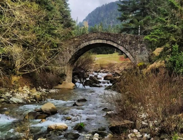 Διαμαρτυρία του Πολιτιστικού Συλλόγου Κρανιάς Ασπροποτάμου